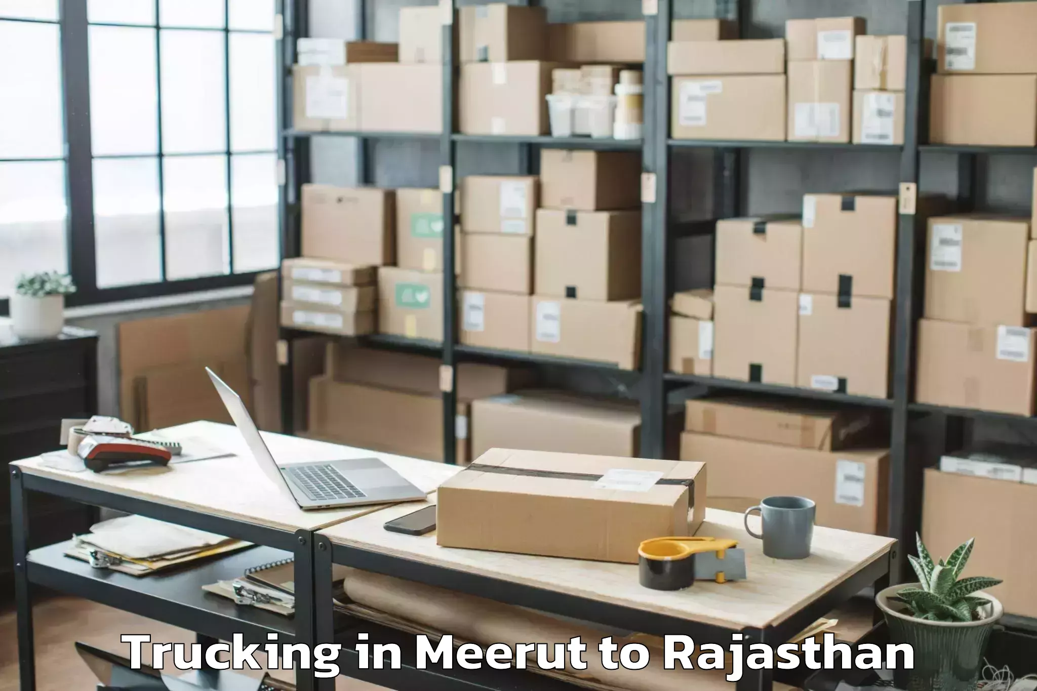 Book Meerut to Nit Jaipur Trucking Online